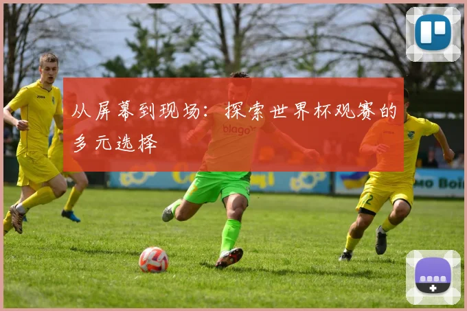 从屏幕到现场:探索世界杯观赛的多元选择