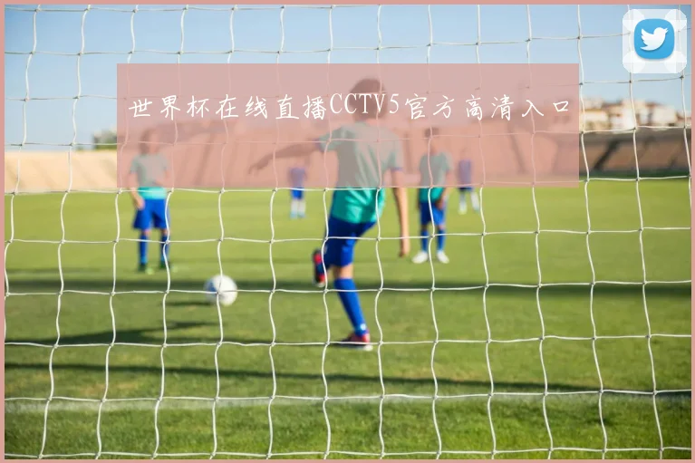 世界杯在线直播CCTV5官方高清入口