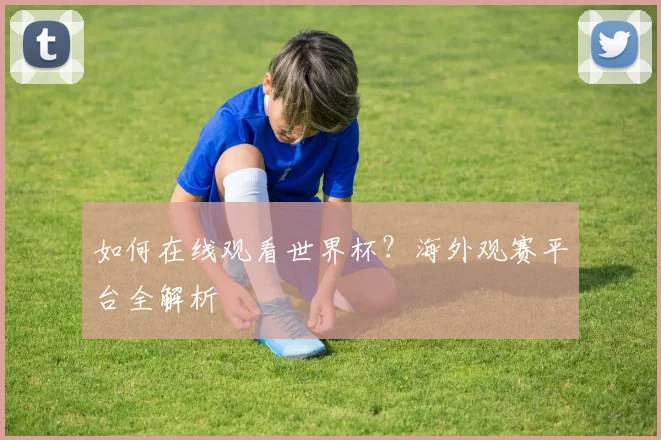 如何在线观看世界杯？海外观赛平台全解析