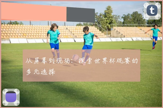 从屏幕到现场:探索世界杯观赛的多元选择