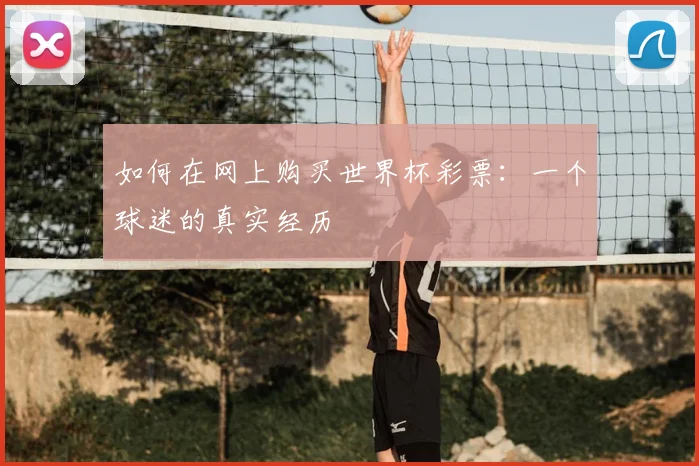 如何在网上购买世界杯彩票：一个球迷的真实经历